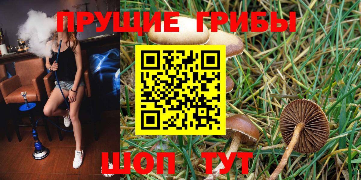 Галлюциногенные грибы мицелий Кохма
