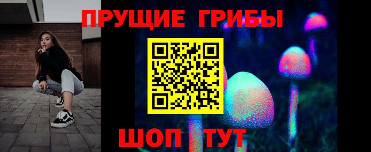 Псилоцибиновые грибы MAGIC MUSHROOMS  Вход с VPN  купить наркотик  Кохма 
